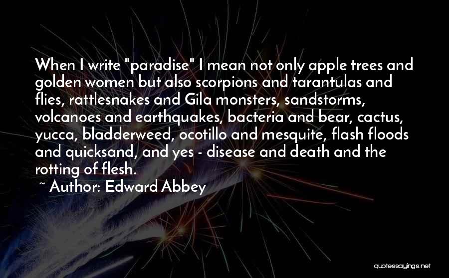 Flash Floods Quotes By Edward Abbey