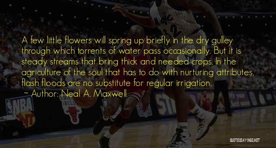 Flash Floods Quotes By Neal A. Maxwell