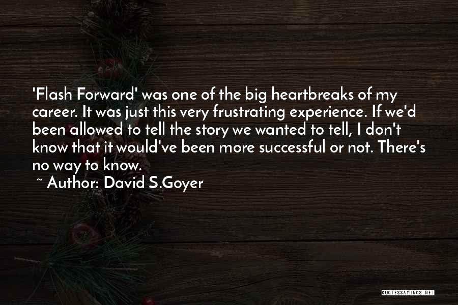 Flash Forward Quotes By David S.Goyer