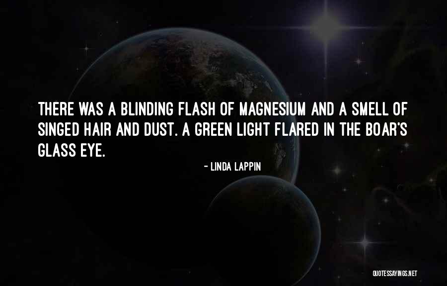 Flash Of Light Quotes By Linda Lappin Flash Of Light Quotes By Linda Lappin