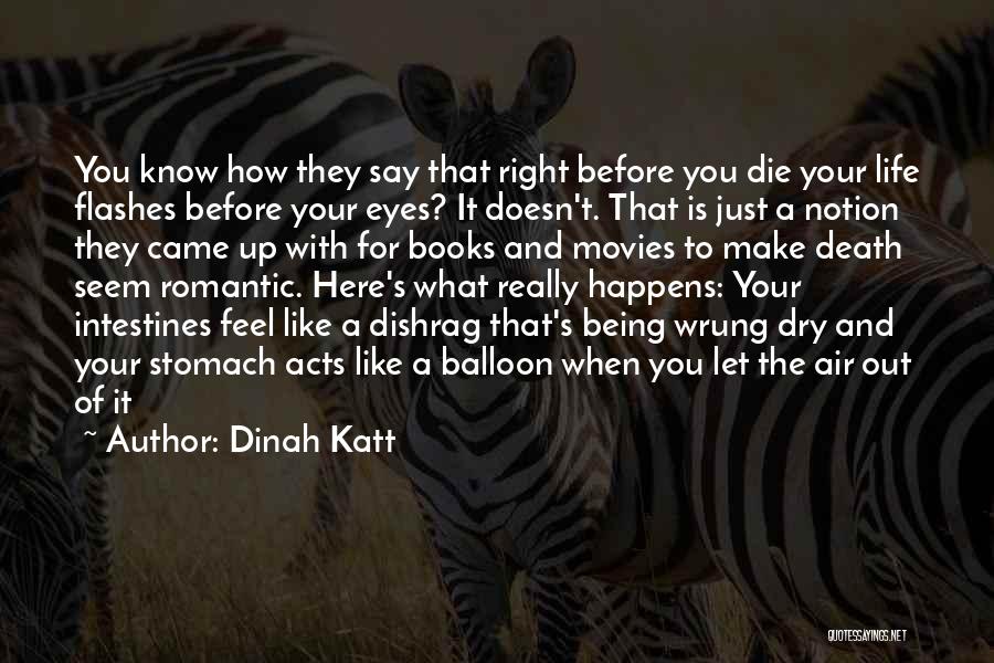 Flashes Quotes By Dinah Katt