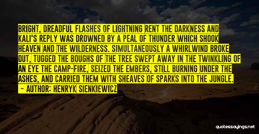 Flashes Quotes By Henryk Sienkiewicz