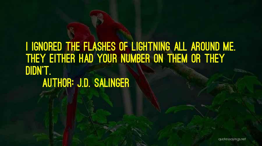 Flashes Quotes By J.D. Salinger
