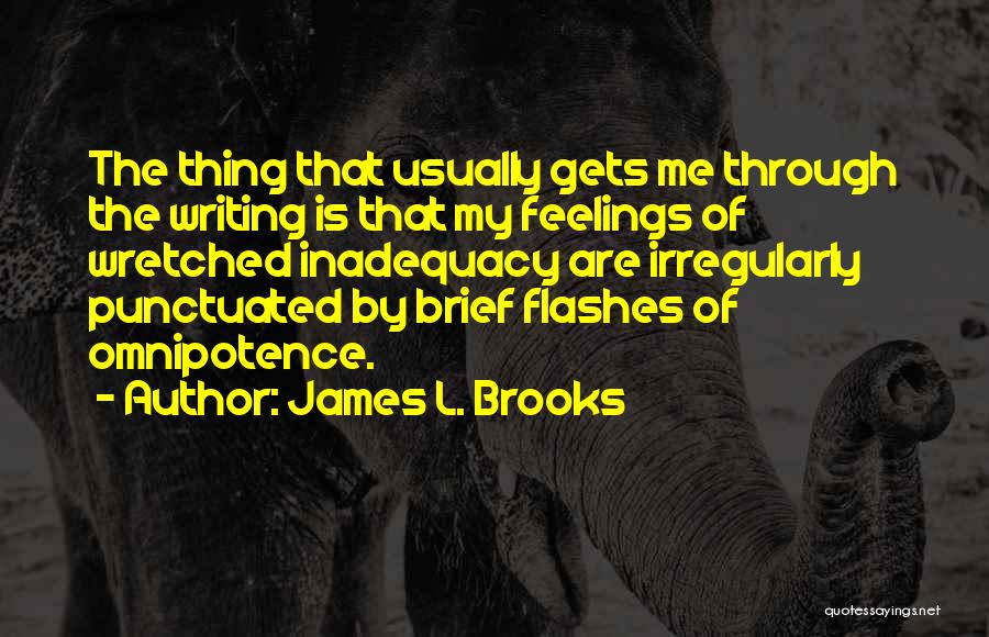 Flashes Quotes By James L. Brooks