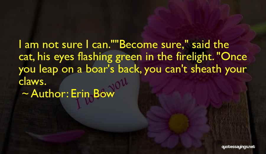 Flashing Back Quotes By Erin Bow