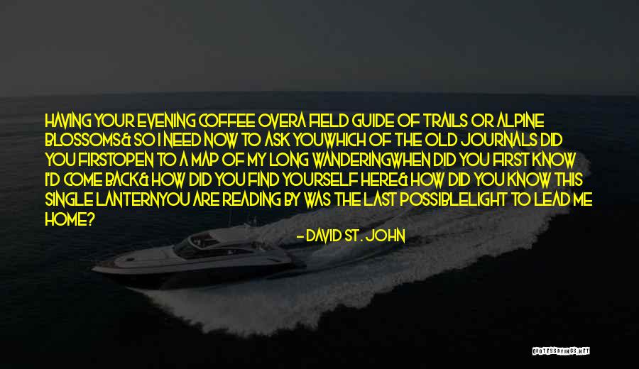 Flashing Birthday Quotes By David St. John Flashing Birthday Quotes By David St. John
