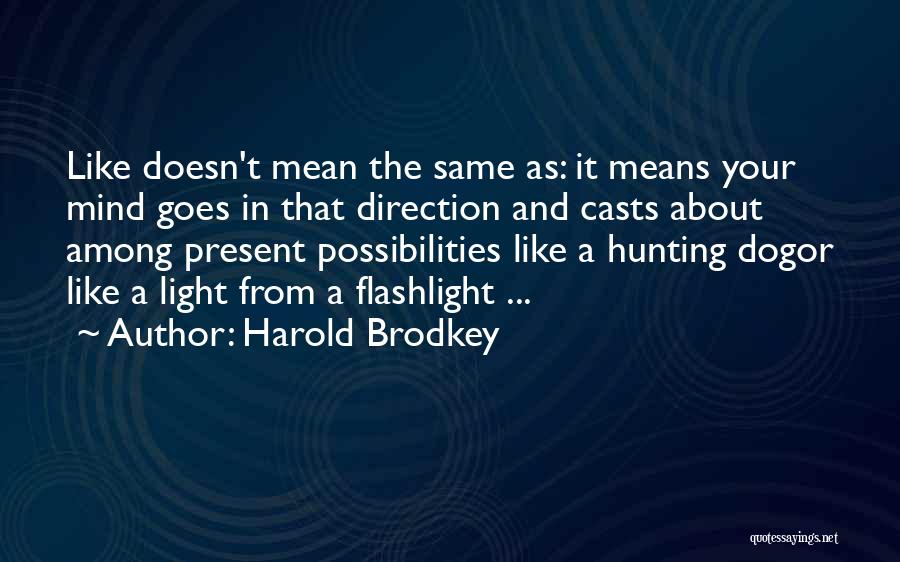 Flashlight Quotes By Harold Brodkey