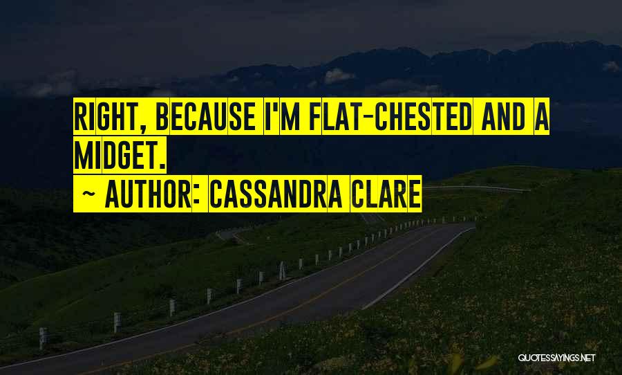 Flat Chested Quotes By Cassandra Clare