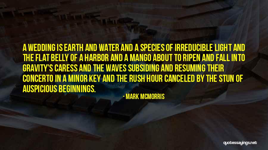 Flat Earth Quotes By Mark McMorris Flat Earth Quotes By Mark McMorris