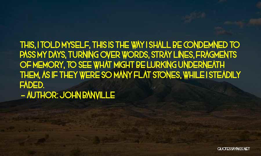 Flat Quotes By John Banville