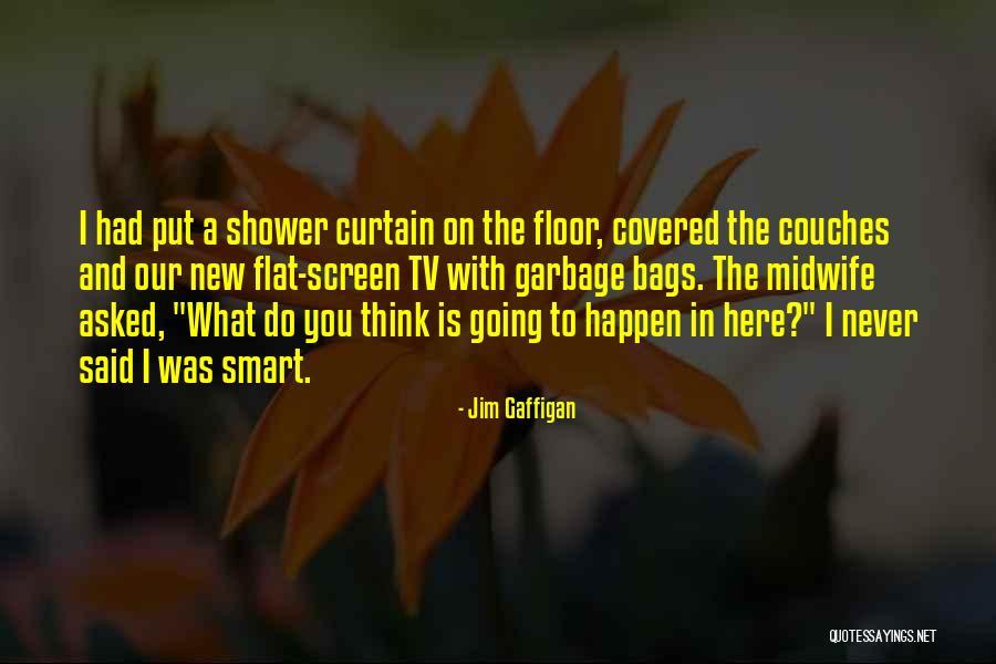 Flat Screen Quotes By Jim Gaffigan Flat Screen Quotes By Jim Gaffigan