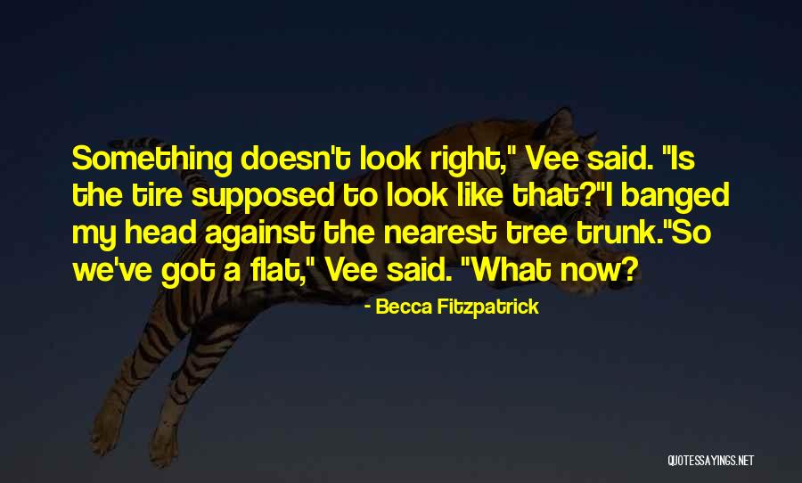 Flat Tire Quotes By Becca Fitzpatrick Flat Tire Quotes By Becca Fitzpatrick