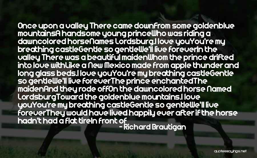 Flat Tire Quotes By Richard Brautigan Flat Tire Quotes By Richard Brautigan