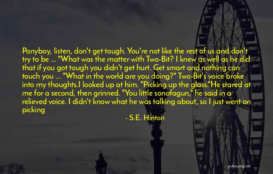 Flat Tire Quotes By S.E. Hinton Flat Tire Quotes By S.E. Hinton