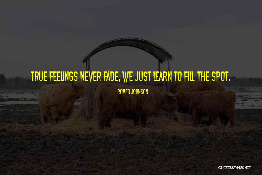 Flateau Real Estate Quotes By Romeo Johnson Flateau Real Estate Quotes By Romeo Johnson