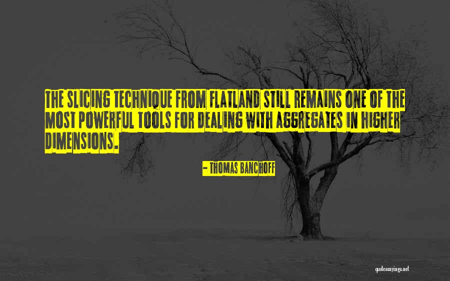 Flatland Quotes By Thomas Banchoff Flatland Quotes By Thomas Banchoff