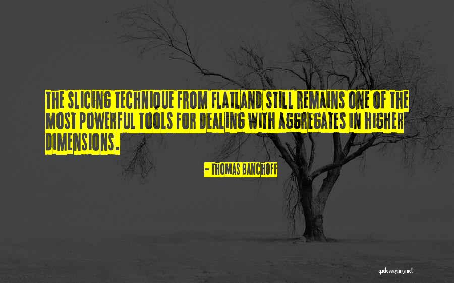 Flatland Quotes By Thomas Banchoff