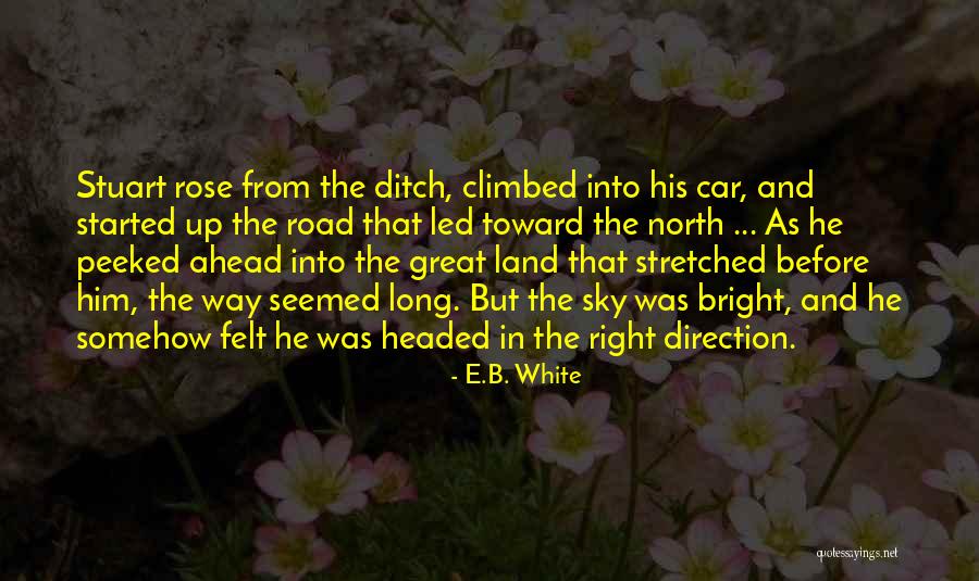 Flatpickers Quotes By E.B. White
