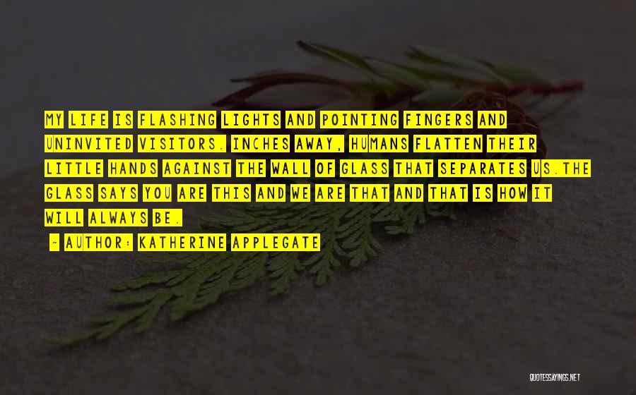 Flatten Quotes By Katherine Applegate