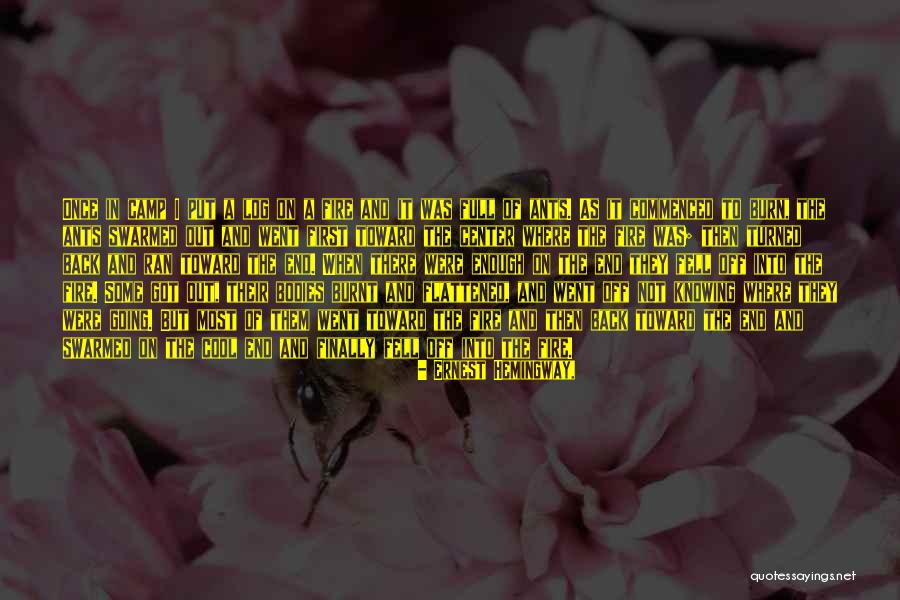 Flattened Quotes By Ernest Hemingway, Flattened Quotes By Ernest Hemingway,