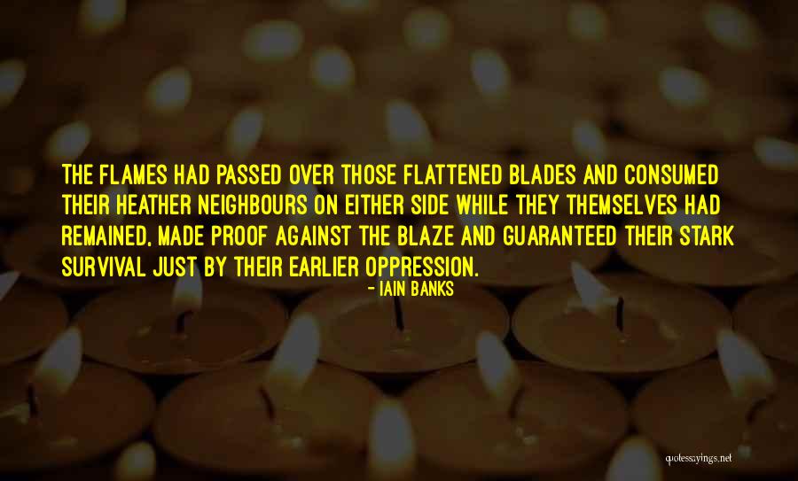 Flattened Quotes By Iain Banks Flattened Quotes By Iain Banks
