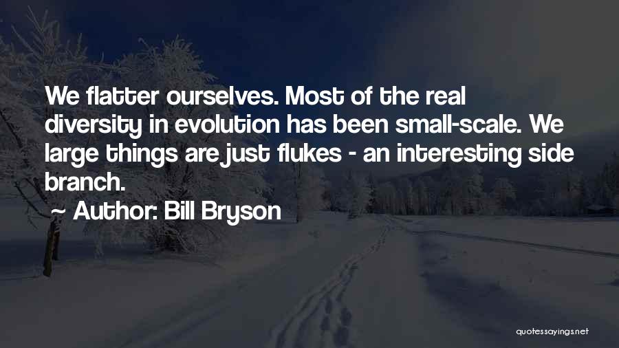 Flatter Quotes By Bill Bryson