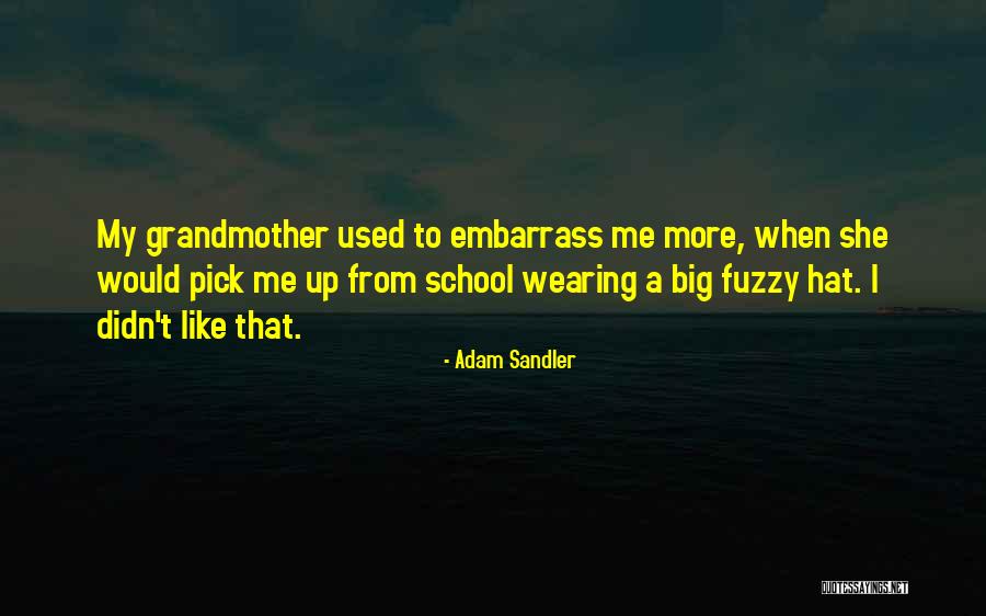 Flatulentie Quotes By Adam Sandler Flatulentie Quotes By Adam Sandler