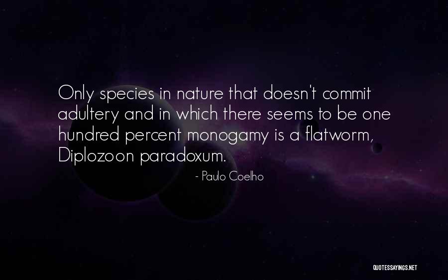 Flatworm Quotes By Paulo Coelho Flatworm Quotes By Paulo Coelho