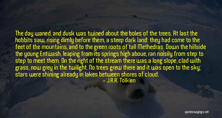 Flatworms Nervous System Quotes By J.R.R. Tolkien Flatworms Nervous System Quotes By J.R.R. Tolkien