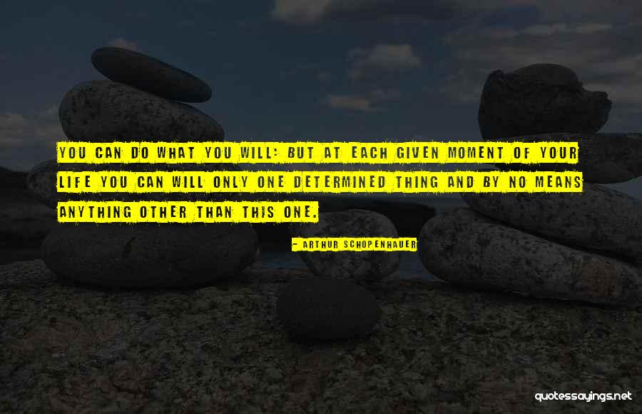 Flavin Realty Quotes By Arthur Schopenhauer Flavin Realty Quotes By Arthur Schopenhauer