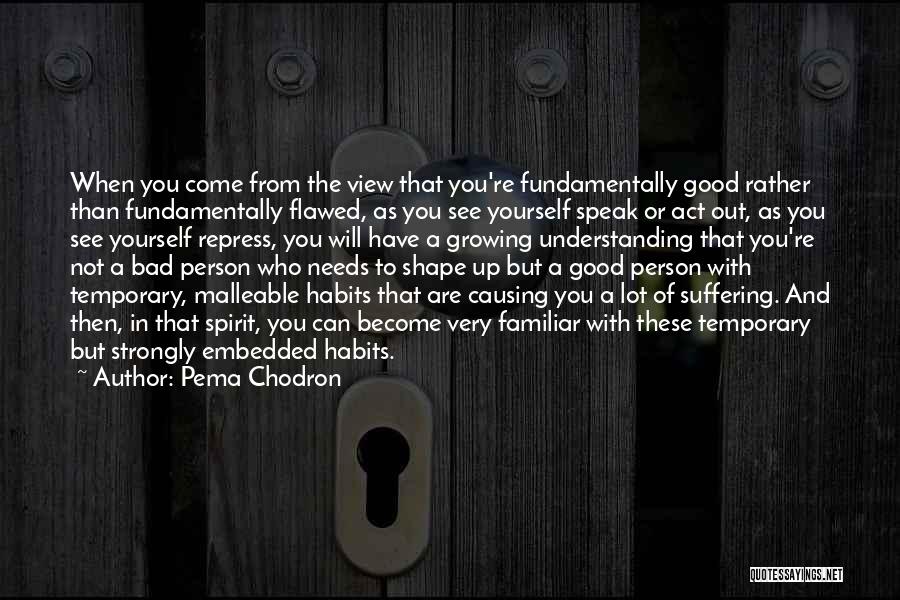 Flawed Person Quotes By Pema Chodron