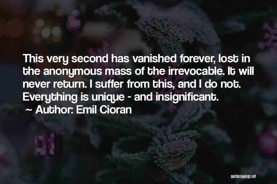 Flawless Smile Quotes By Emil Cioran