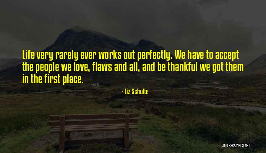 Flaws And All Quotes By Liz Schulte