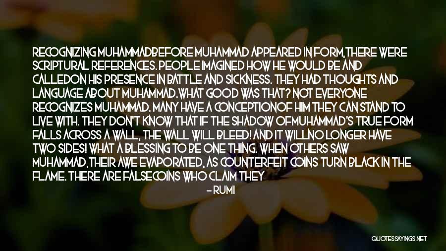 Flaws And All Quotes By Rumi