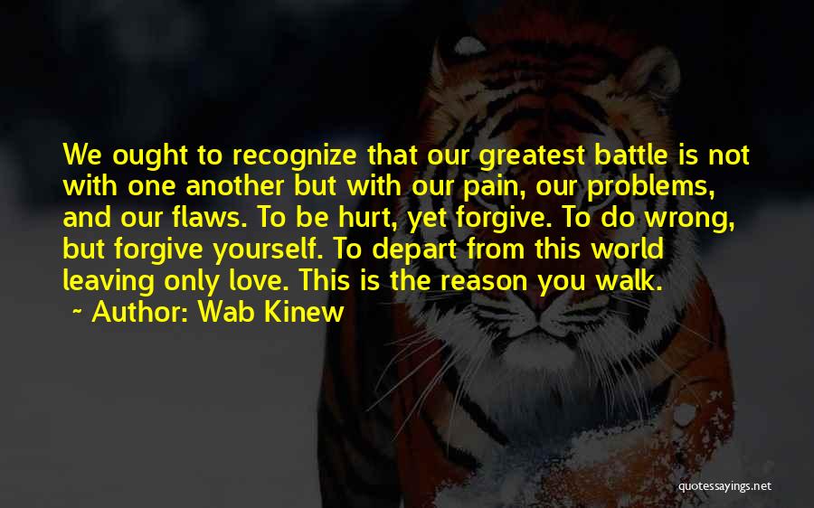 Flaws And Love Quotes By Wab Kinew