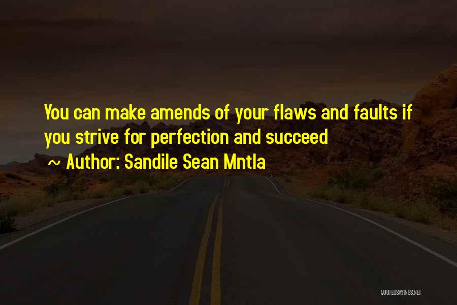 Flaws Make Perfection Quotes By Sandile Sean Mntla