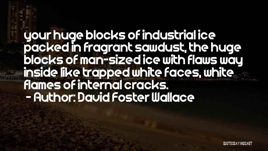 Flaws Quotes By David Foster Wallace