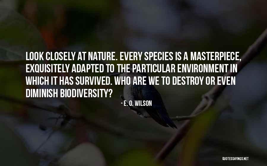 Flcl Anime Quotes By E. O. Wilson Flcl Anime Quotes By E. O. Wilson