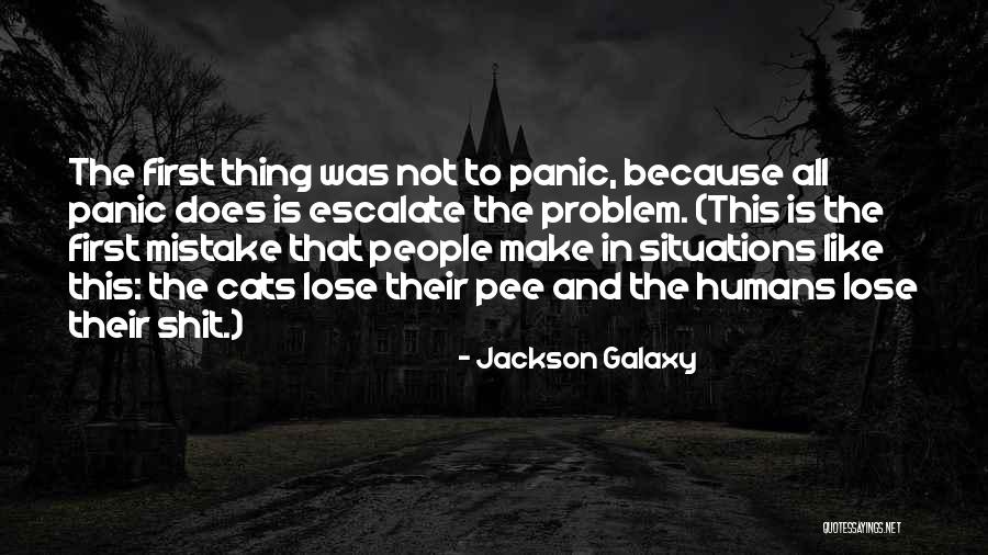 Fleabags Shira Quotes By Jackson Galaxy Fleabags Shira Quotes By Jackson Galaxy