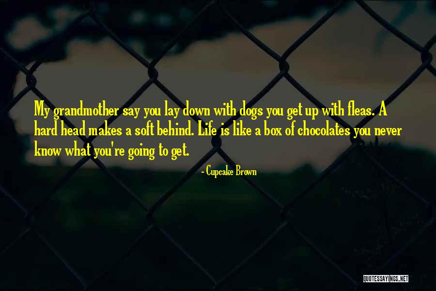 Fleas On Dogs Quotes By Cupcake Brown Fleas On Dogs Quotes By Cupcake Brown