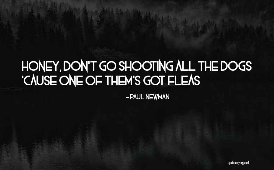 Fleas On Dogs Quotes By Paul Newman Fleas On Dogs Quotes By Paul Newman