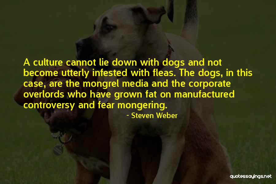 Fleas On Dogs Quotes By Steven Weber Fleas On Dogs Quotes By Steven Weber
