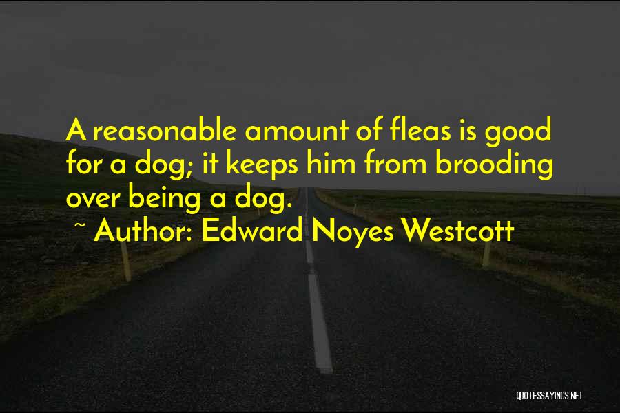 Fleas Quotes By Edward Noyes Westcott