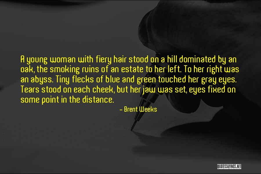 Flecks Quotes By Brent Weeks Flecks Quotes By Brent Weeks
