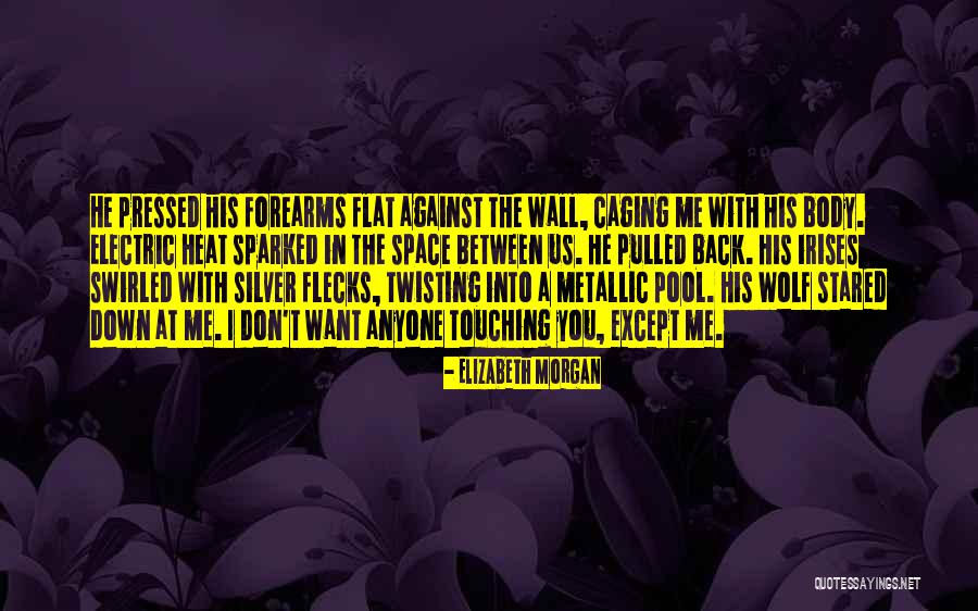 Flecks Quotes By Elizabeth Morgan Flecks Quotes By Elizabeth Morgan