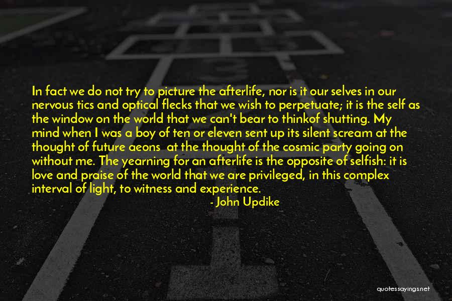 Flecks Quotes By John Updike Flecks Quotes By John Updike