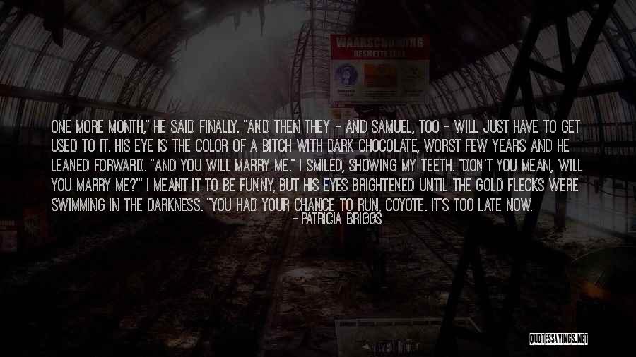 Flecks Quotes By Patricia Briggs Flecks Quotes By Patricia Briggs