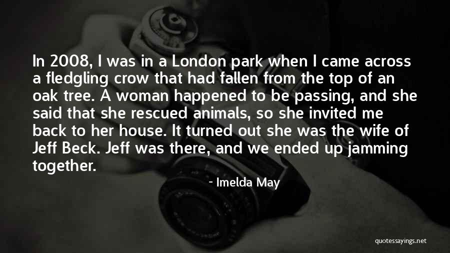 Fledgling Quotes By Imelda May Fledgling Quotes By Imelda May