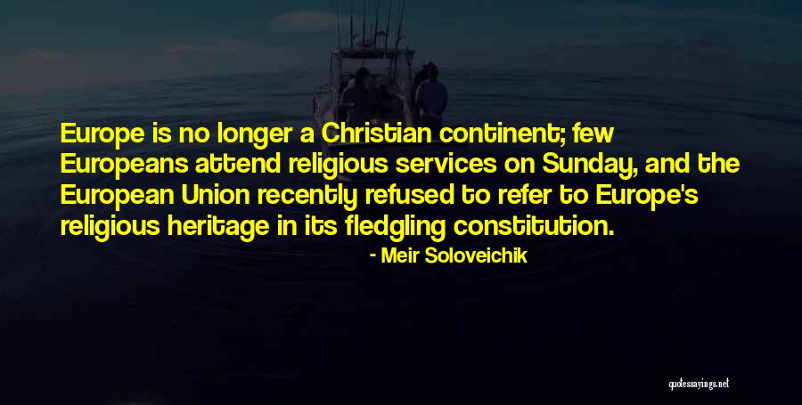 Fledgling Quotes By Meir Soloveichik Fledgling Quotes By Meir Soloveichik