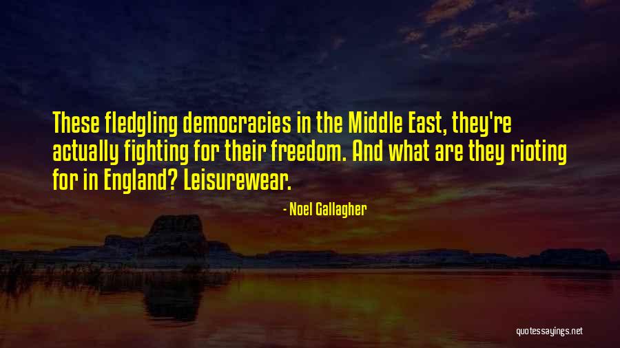 Fledgling Quotes By Noel Gallagher Fledgling Quotes By Noel Gallagher